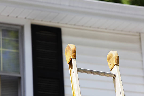 Best Carpet Removal and Disposal  in Vamo, FL
